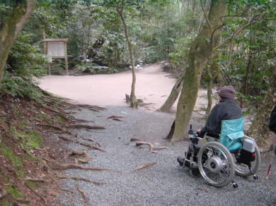 写真5鏡の池まで