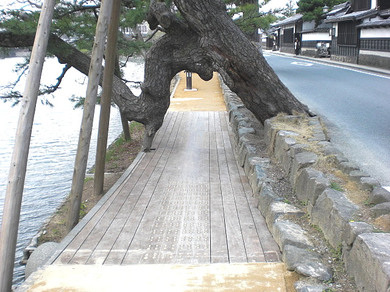 整備後の歩道の写真